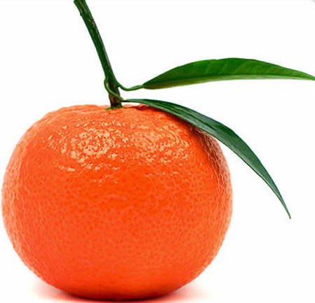 tangerine02.jpg